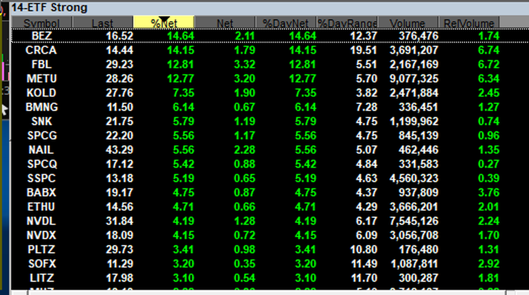 Takion sorter 14-ETF Strong ranking exchange traded funds by percent net change with %DayNet, %DayRange, Volume and RelVolume